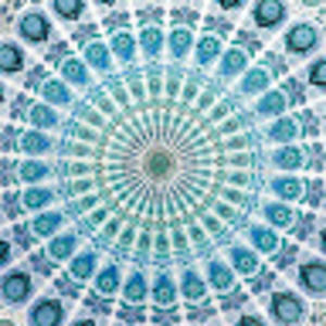 Meet your Posher, Dalia